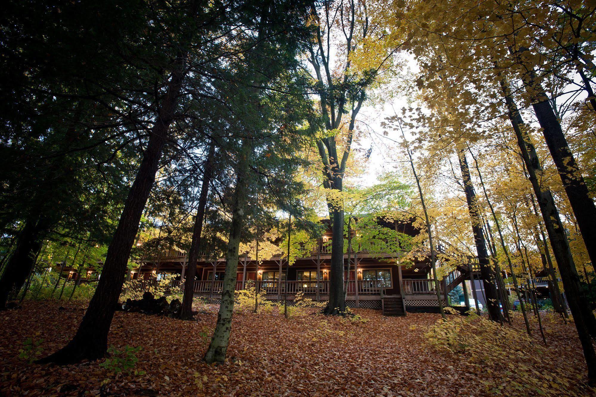 The Biggest Loser Resort Niagara Java Center エクステリア 写真